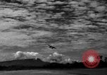 Image of 8th Photographic Reconnaissance Squadron Australia, 1943, second 37 stock footage video 65675077233