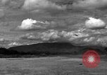 Image of 8th Photographic Reconnaissance Squadron Australia, 1943, second 17 stock footage video 65675077234