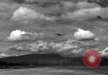 Image of 8th Photographic Reconnaissance Squadron Australia, 1943, second 20 stock footage video 65675077234