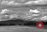 Image of 8th Photographic Reconnaissance Squadron Australia, 1943, second 30 stock footage video 65675077234
