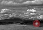 Image of 8th Photographic Reconnaissance Squadron Australia, 1943, second 37 stock footage video 65675077234