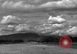 Image of 8th Photographic Reconnaissance Squadron Australia, 1943, second 38 stock footage video 65675077234