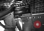 Standbild 8 fotografische Reconnaissance Squadron Australien, 1943, aus Sekunde 7 historischem Filmmaterial Videoclip 65675077235