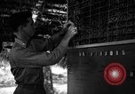 Standbild 8 fotografische Reconnaissance Squadron Australien, 1943, aus Sekunde 22 historischem Filmmaterial Videoclip 65675077235