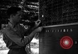 Standbild 8 fotografische Reconnaissance Squadron Australien, 1943, aus Sekunde 27 historischem Filmmaterial Videoclip 65675077235