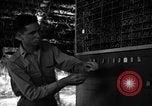 Standbild 8 fotografische Reconnaissance Squadron Australien, 1943, aus Sekunde 28 historischem Filmmaterial Videoclip 65675077235