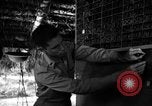 Standbild 8 fotografische Reconnaissance Squadron Australien, 1943, aus Sekunde 29 historischem Filmmaterial Videoclip 65675077235