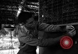 Standbild 8 fotografische Reconnaissance Squadron Australien, 1943, aus Sekunde 30 historischem Filmmaterial Videoclip 65675077235