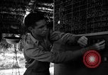 Standbild 8 fotografische Reconnaissance Squadron Australien, 1943, aus Sekunde 31 historischem Filmmaterial Videoclip 65675077235