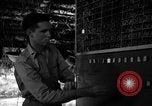 Standbild 8 fotografische Reconnaissance Squadron Australien, 1943, aus Sekunde 32 historischem Filmmaterial Videoclip 65675077235