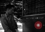 Standbild 8 fotografische Reconnaissance Squadron Australien, 1943, aus Sekunde 33 historischem Filmmaterial Videoclip 65675077235