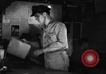 Image of 8th Photographic Reconnaissance Squadron Australia, 1943, second 23 stock footage video 65675077237
