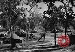 Standbild 8 fotografische Reconnaissance Squadron Australien, 1943, aus Sekunde 12 historischem Filmmaterial Videoclip 65675077239