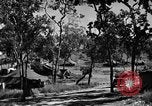 Standbild 8 fotografische Reconnaissance Squadron Australien, 1943, aus Sekunde 13 historischem Filmmaterial Videoclip 65675077239