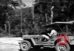 Standbild 8 fotografische Reconnaissance Squadron Australien, 1943, aus Sekunde 20 historischem Filmmaterial Videoclip 65675077239