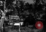 Standbild 8 fotografische Reconnaissance Squadron Australien, 1943, aus Sekunde 33 historischem Filmmaterial Videoclip 65675077239