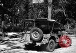 Standbild 8 fotografische Reconnaissance Squadron Australien, 1943, aus Sekunde 61 historischem Filmmaterial Videoclip 65675077239