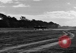 Image of 8th Photographic Reconnaissance Squadron Australia, 1943, second 44 stock footage video 65675077241