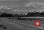 Image of 8th Photographic Reconnaissance Squadron Australia, 1943, second 52 stock footage video 65675077241
