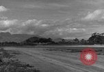 Image of 8th Photographic Reconnaissance Squadron Australia, 1943, second 55 stock footage video 65675077241