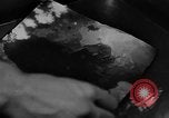 Standbild 8 fotografische Reconnaissance Squadron Australien, 1943, aus Sekunde 19 historischem Filmmaterial Videoclip 65675077242