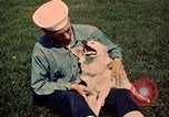 Standbild navy Rekruten Illinois United States USA, 1947, aus Sekunde 54 historischem Filmmaterial Videoclip 65675077253