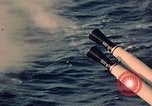 Immagine di I marinai americani United States USA, 1960, secondo 27 filmato di repertorio 65675077260