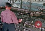 Image of B-52 Stratofortress Kansas United States USA, 1960, second 57 stock footage video 65675077271