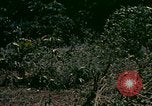Standbild UH-1 Iroquois Hubschrauber United States USA, 1970, aus Sekunde 5 historischem Filmmaterial Videoclip 65675077305