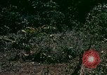 Standbild UH-1 Iroquois Hubschrauber United States USA, 1970, aus Sekunde 6 historischem Filmmaterial Videoclip 65675077305