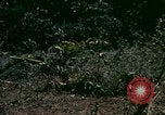 Standbild UH-1 Iroquois Hubschrauber United States USA, 1970, aus Sekunde 7 historischem Filmmaterial Videoclip 65675077305