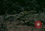 Standbild UH-1 Iroquois Hubschrauber United States USA, 1970, aus Sekunde 8 historischem Filmmaterial Videoclip 65675077305