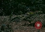 Standbild UH-1 Iroquois Hubschrauber United States USA, 1970, aus Sekunde 9 historischem Filmmaterial Videoclip 65675077305
