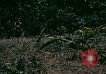 Standbild UH-1 Iroquois Hubschrauber United States USA, 1970, aus Sekunde 10 historischem Filmmaterial Videoclip 65675077305
