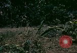 Standbild UH-1 Iroquois Hubschrauber United States USA, 1970, aus Sekunde 11 historischem Filmmaterial Videoclip 65675077305