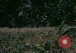 Standbild UH-1 Iroquois Hubschrauber United States USA, 1970, aus Sekunde 13 historischem Filmmaterial Videoclip 65675077305