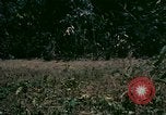 Standbild UH-1 Iroquois Hubschrauber United States USA, 1970, aus Sekunde 14 historischem Filmmaterial Videoclip 65675077305