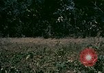 Standbild UH-1 Iroquois Hubschrauber United States USA, 1970, aus Sekunde 15 historischem Filmmaterial Videoclip 65675077305