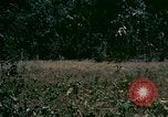 Standbild UH-1 Iroquois Hubschrauber United States USA, 1970, aus Sekunde 16 historischem Filmmaterial Videoclip 65675077305