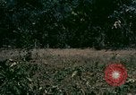 Standbild UH-1 Iroquois Hubschrauber United States USA, 1970, aus Sekunde 17 historischem Filmmaterial Videoclip 65675077305