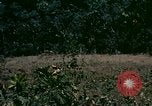 Standbild UH-1 Iroquois Hubschrauber United States USA, 1970, aus Sekunde 19 historischem Filmmaterial Videoclip 65675077305