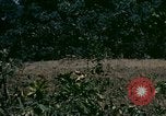 Standbild UH-1 Iroquois Hubschrauber United States USA, 1970, aus Sekunde 20 historischem Filmmaterial Videoclip 65675077305