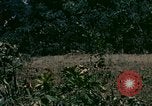 Standbild UH-1 Iroquois Hubschrauber United States USA, 1970, aus Sekunde 21 historischem Filmmaterial Videoclip 65675077305