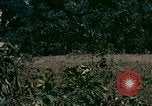 Standbild UH-1 Iroquois Hubschrauber United States USA, 1970, aus Sekunde 22 historischem Filmmaterial Videoclip 65675077305