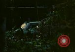 Standbild UH-1 Iroquois Hubschrauber United States USA, 1970, aus Sekunde 52 historischem Filmmaterial Videoclip 65675077307