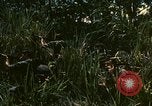 Standbild UH-1 Iroquois Hubschrauber United States USA, 1970, aus Sekunde 10 historischem Filmmaterial Videoclip 65675077310