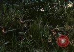 Standbild UH-1 Iroquois Hubschrauber United States USA, 1970, aus Sekunde 11 historischem Filmmaterial Videoclip 65675077310
