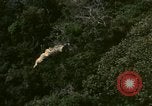 Standbild UH-1 Iroquois Hubschrauber United States USA, 1970, aus Sekunde 28 historischem Filmmaterial Videoclip 65675077311