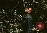 Standbild UH-1 Iroquois Hubschrauber United States USA, 1970, aus Sekunde 50 historischem Filmmaterial Videoclip 65675077311