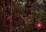 Image of UH-1 Iroquois helicopters United States USA, 1970, second 1 stock footage video 65675077316